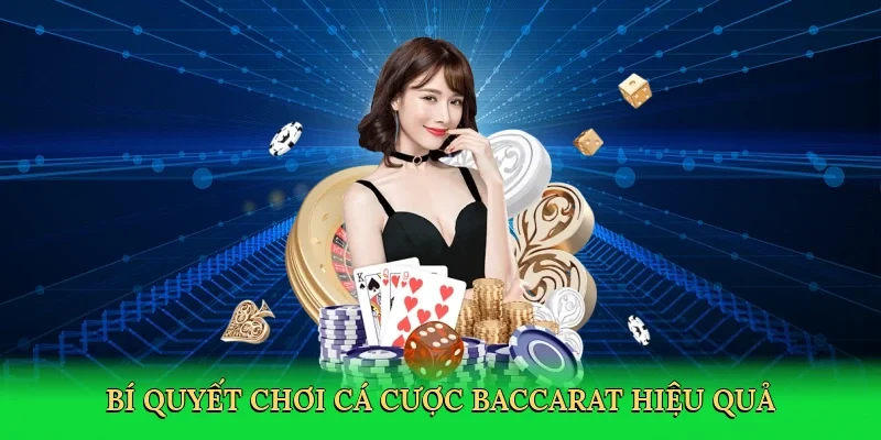 Bí quyết chơi cá cược baccarat hiệu quả