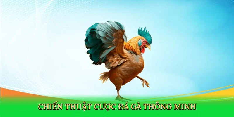 Chiến thuật cược đá gà thông minh