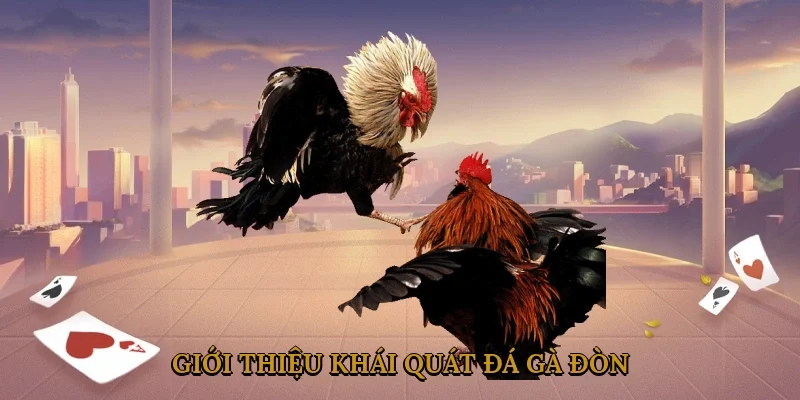 gioi-thieu-khai-quat-da-ga-don-1