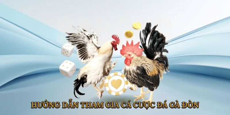 huong-dan-tham-gia-ca-cuoc-da-ga-don-3
