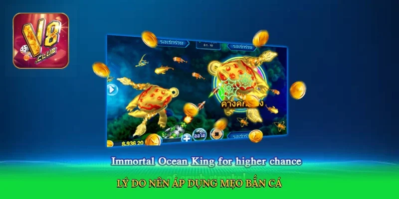 ly-do-nen-ap-dung-meo-ban-ca-3