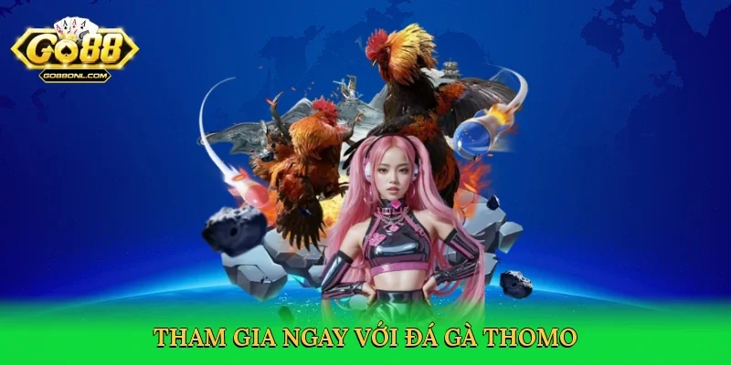 Tham gia ngay với Đá gà Thomo