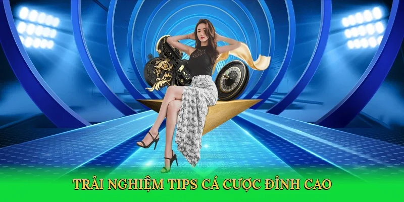 Trải nghiệm tips cá cược đỉnh cao